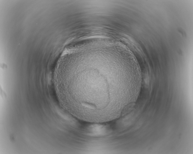 X0000091190326200708091254