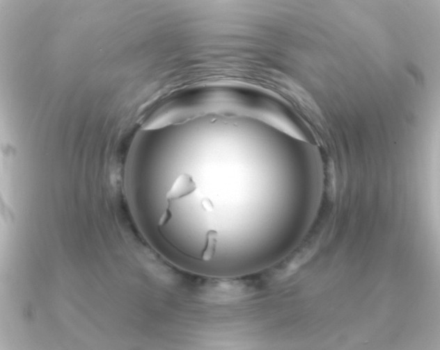 X0000091190329200708091254