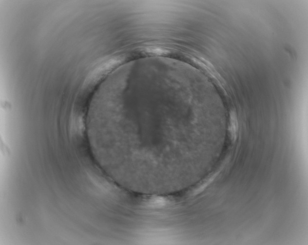 X0000091190330200708091254