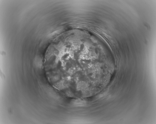 X0000091190331200708091254