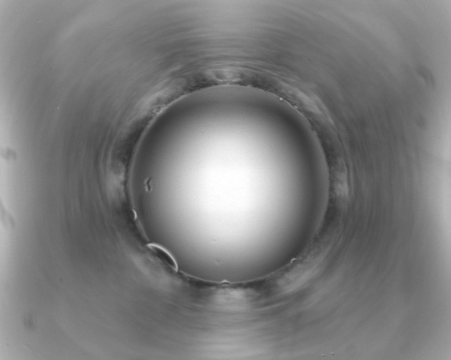 X0000091190332200708091254