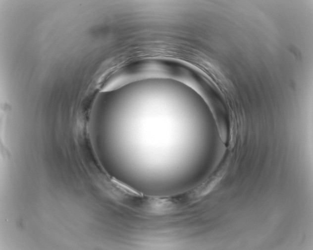 X0000091190333200708091254
