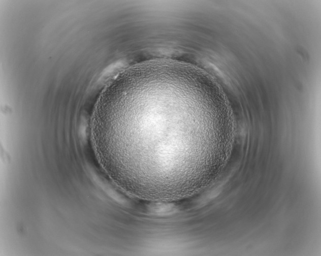 X0000091190334200708091254
