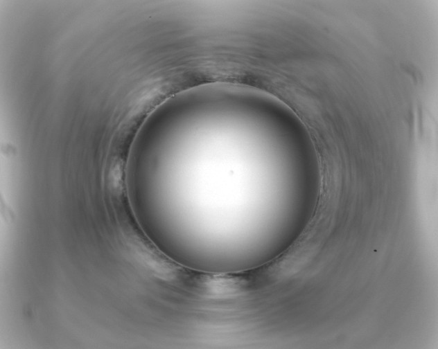X0000091190336200708091254