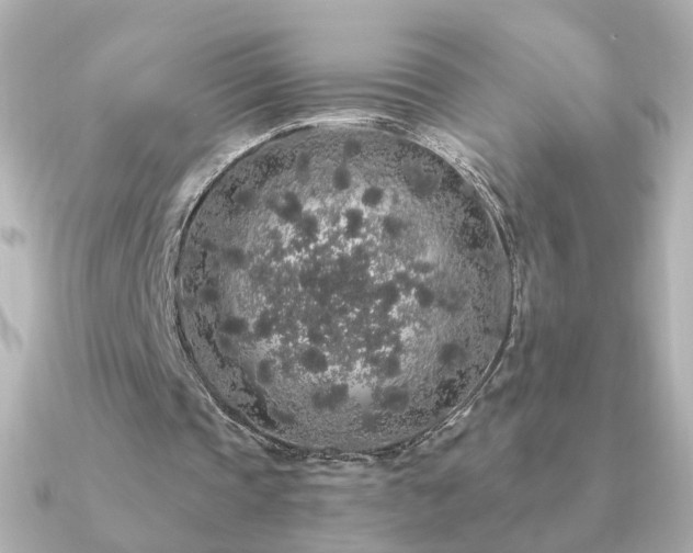 X0000091190337200708091253