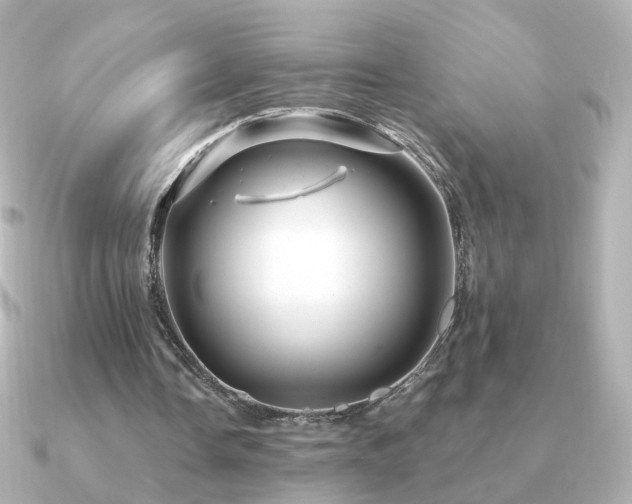 X0000091190338200708091253