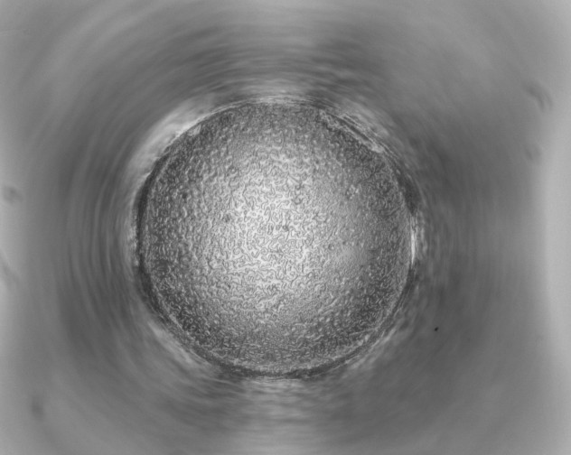 X0000091190339200708091253