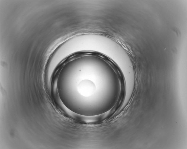 X0000091190340200708091253