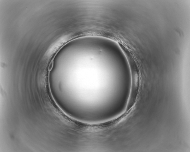 X0000091190341200708091253