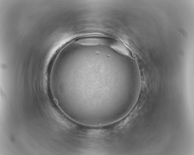X0000091190342200708091253