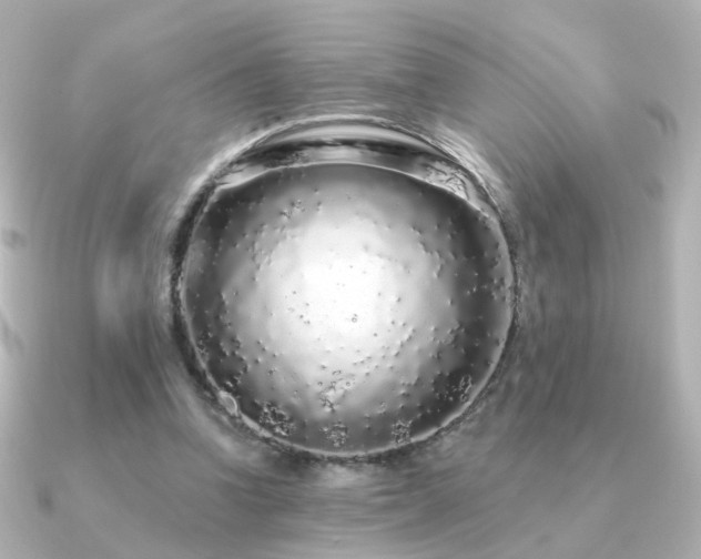 X0000091190346200708091253