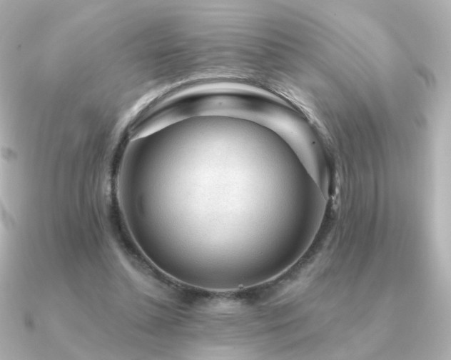 X0000091190348200708091253