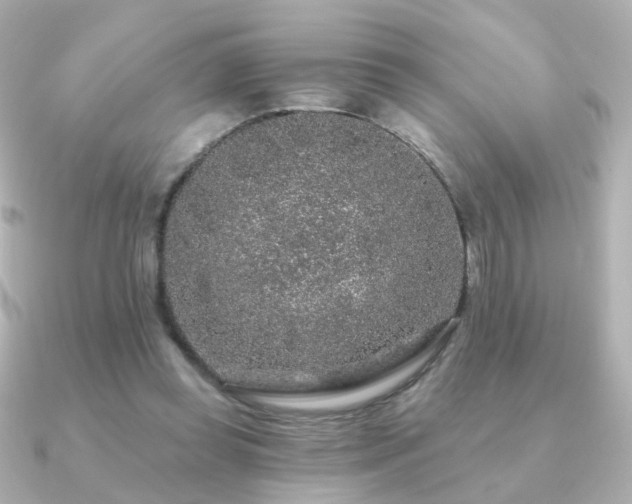 X0000091190349200708091253