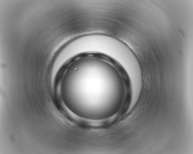X0000091190350200708091253