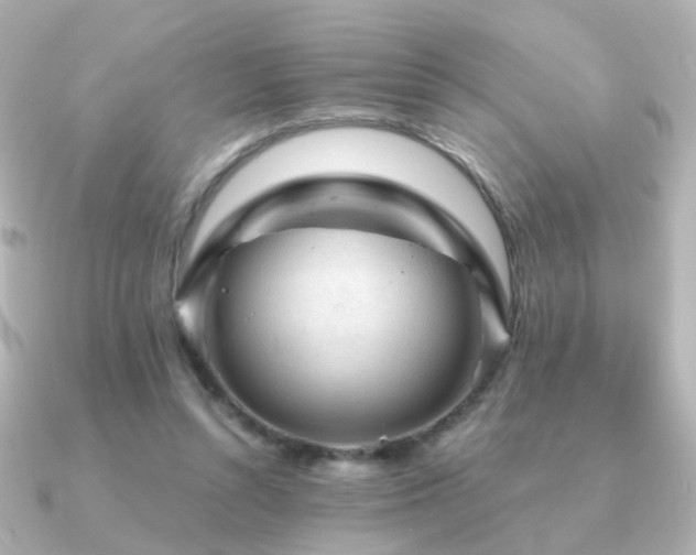 X0000091190352200708091253