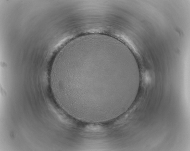 X0000091190354200708091253