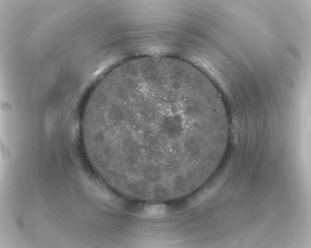 X0000091190355200708091253