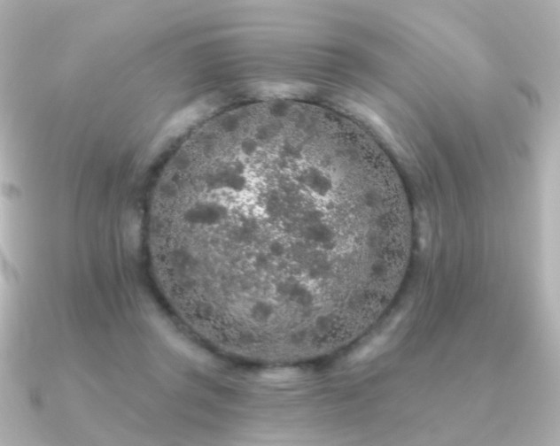 X0000091190357200708091253