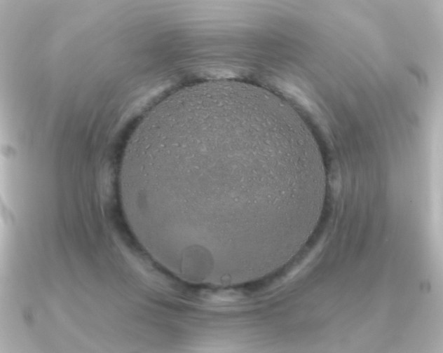X0000091190359200708091253