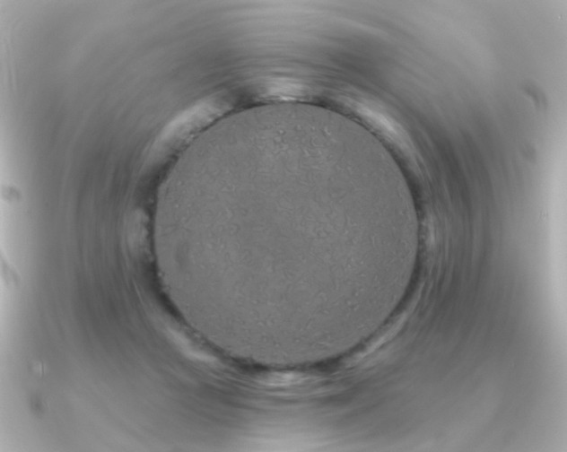 X0000091190361200708091253