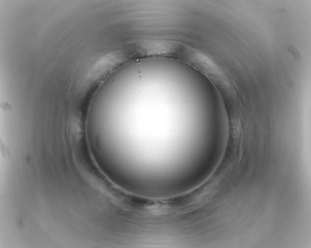 X0000091190362200708091253