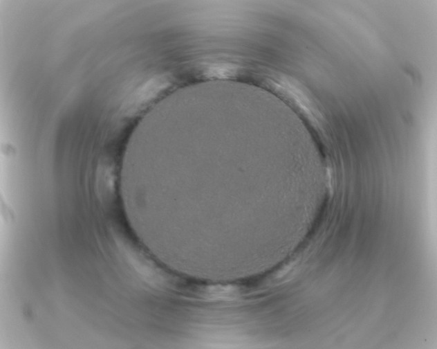 X0000091190363200708091253