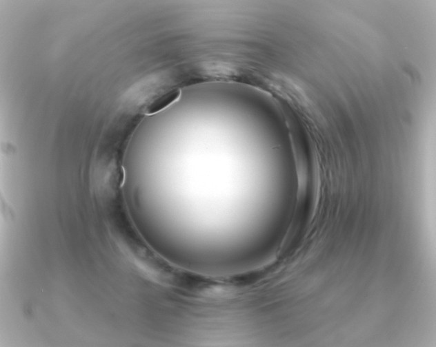X0000091190364200708091253