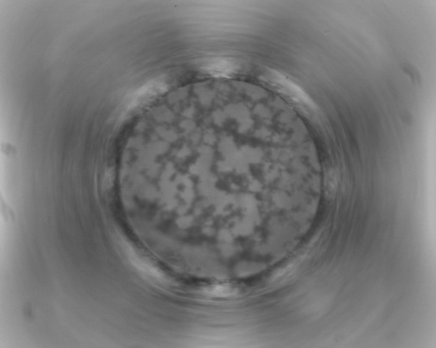 X0000091190365200708091253