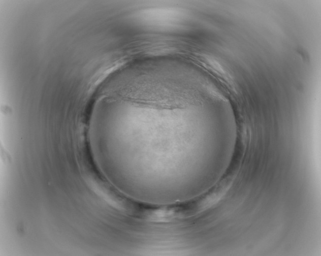 X0000091190366200708091253