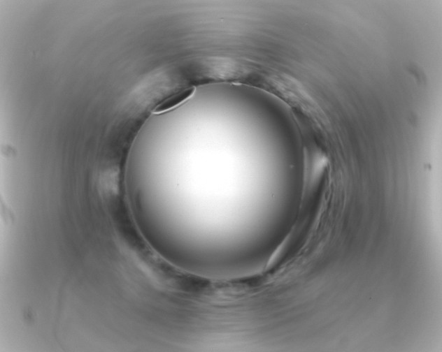 X0000091190368200708091253
