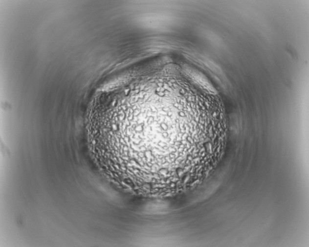 X0000091190369200708091253