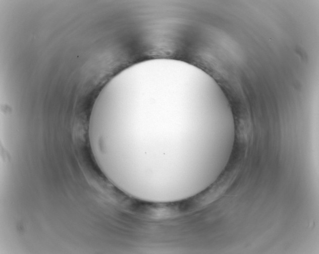 X0000091190370200708091253