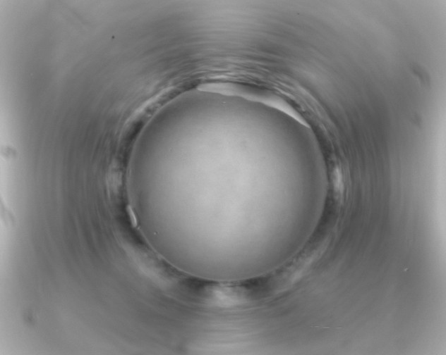 X0000091190372200708091253