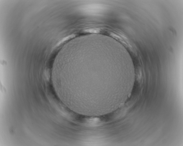 X0000091190374200708091253