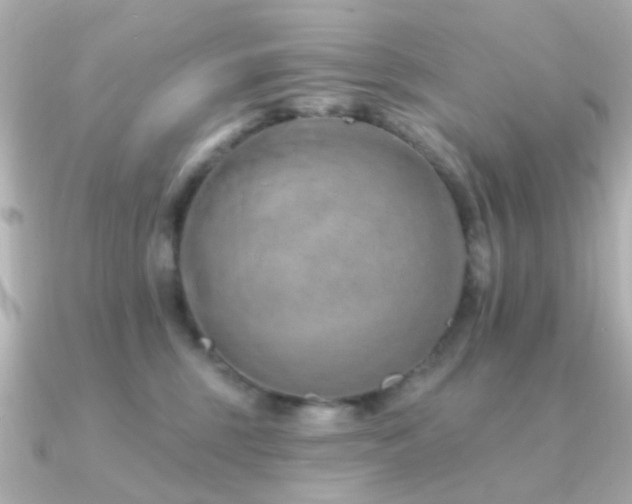 X0000091190375200708091253