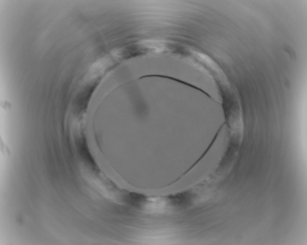 X0000091190376200708091253