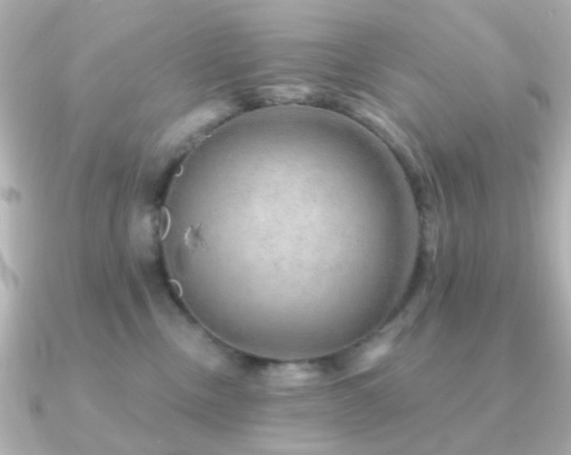 X0000091190378200708091253