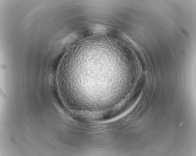 X0000091190379200708091253