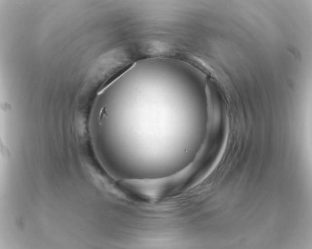 X0000091190380200708091253