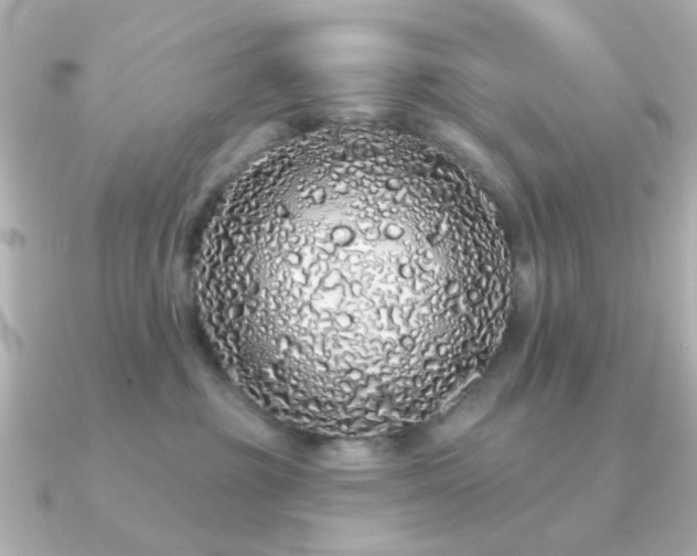 X0000091190381200708091253