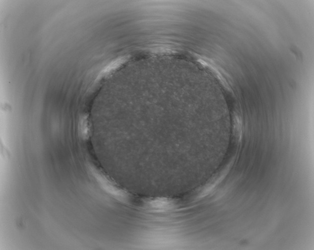 X0000091190383200708091254