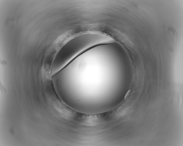 X0000091190384200708091254