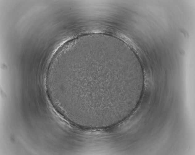 X0000091190386200708091253