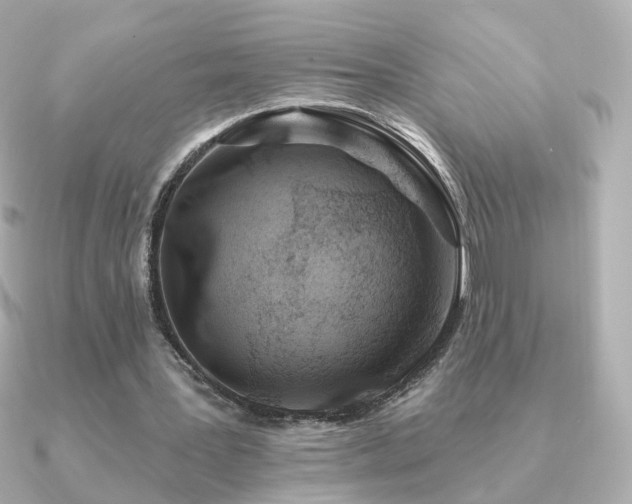 X0000091190387200708091253
