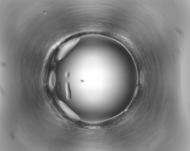 X0000091190388200708091253