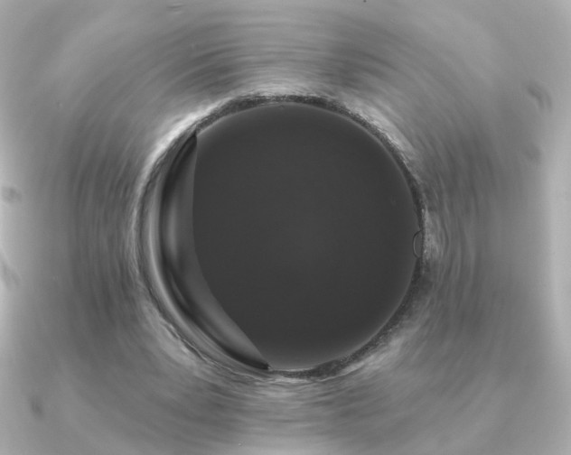 X0000091190391200708091253
