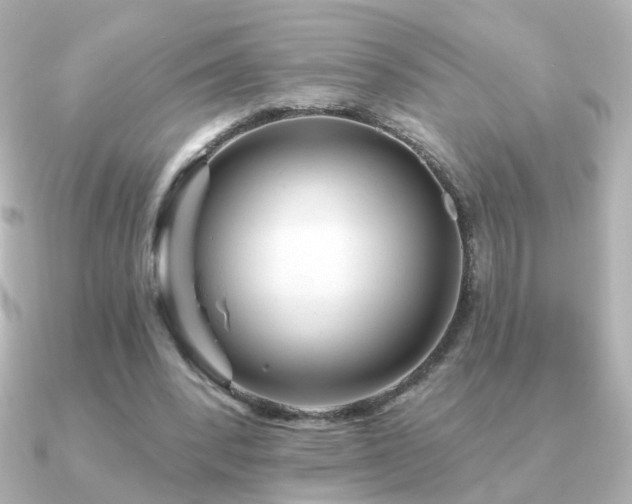 X0000091190392200708091253