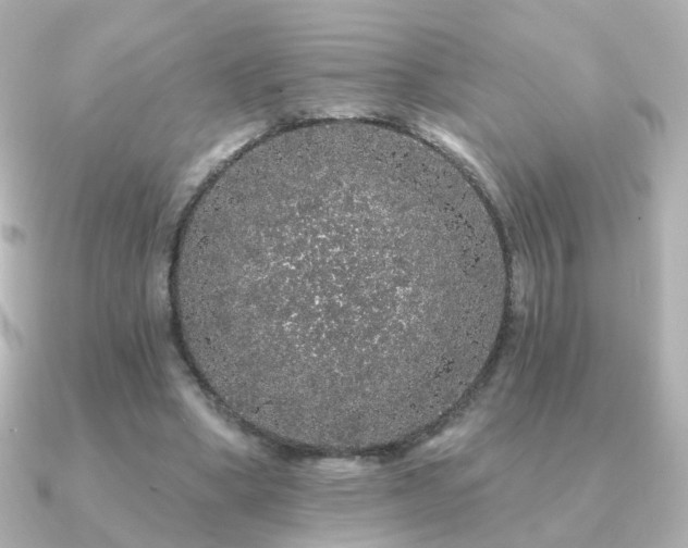 X0000091190394200708091253