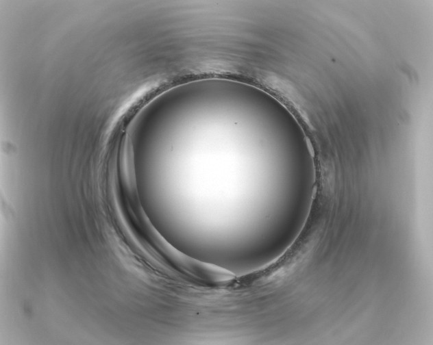 X0000091190395200708091253
