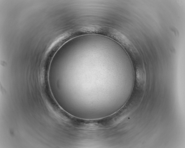 X0000091190396200708091253
